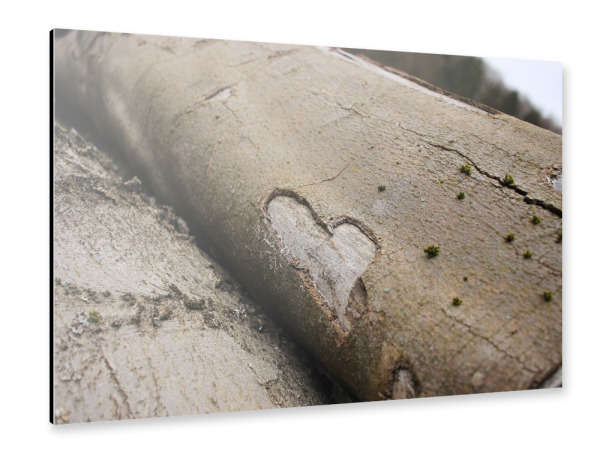 Alu-Dibond "Holz der Liebe" 30x20 cm artboxONE
