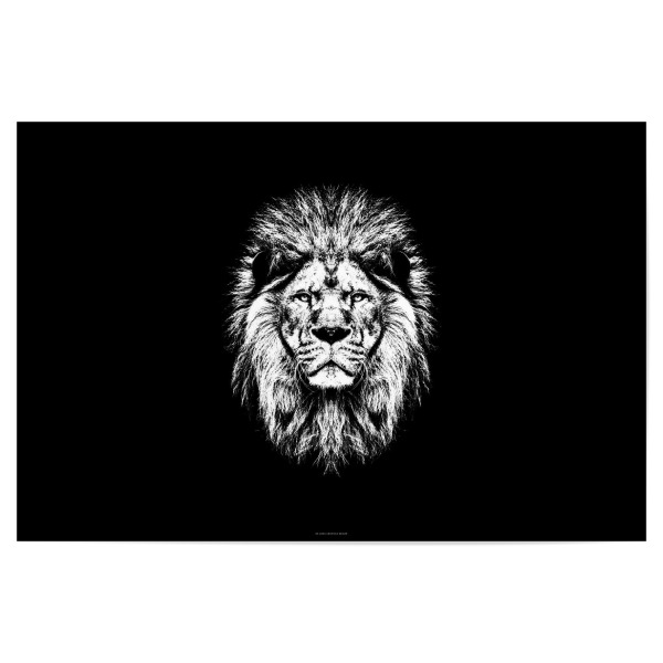 Poster "Löwenkopf auf Schwarz" artboxONE - Natur,Tiere