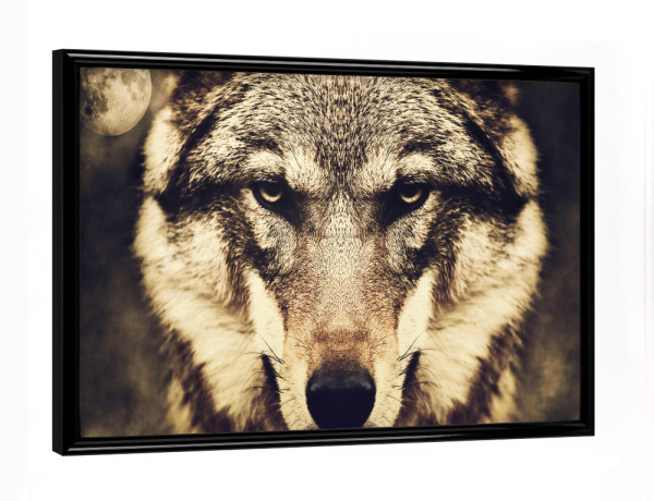 Poster mit schwarzem Rahmen "Wolf & Moon (matart)" artboxONE - Natur,Tiere - Wolf,Wolves,Animal,Animals,Natur,Nature,Moon,Tier,Portrait,Wild