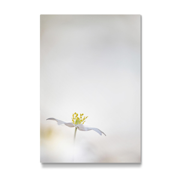 Galerie-Print "Ganz unten" 30x20 cm artboxONE