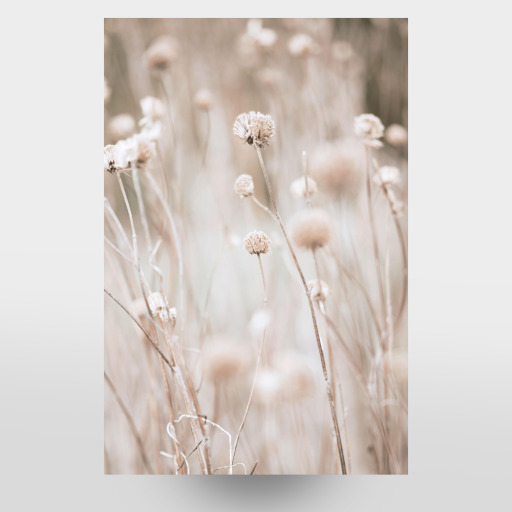Modern Plant l