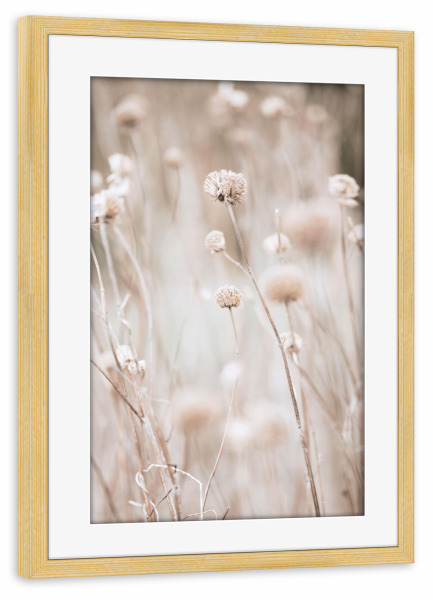 Poster mit Rahmen kiefer "Modern Plant l" artboxONE - Natur,Floral - Minimalist plant,Botanical,Pflanzen,Boho,Plants,Minimal,Minimalistisch,Beige