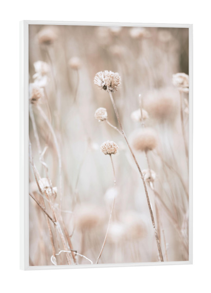 Poster mit weißem Rahmen "Modern Plant l" artboxONE - Natur,Floral - Minimalist plant,Botanical,Pflanzen,Boho,Plants,Minimal,Minimalistisch,Beige