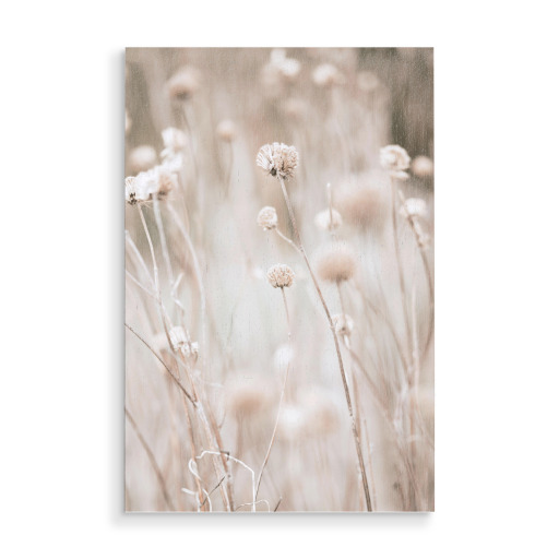 Modern Plant l