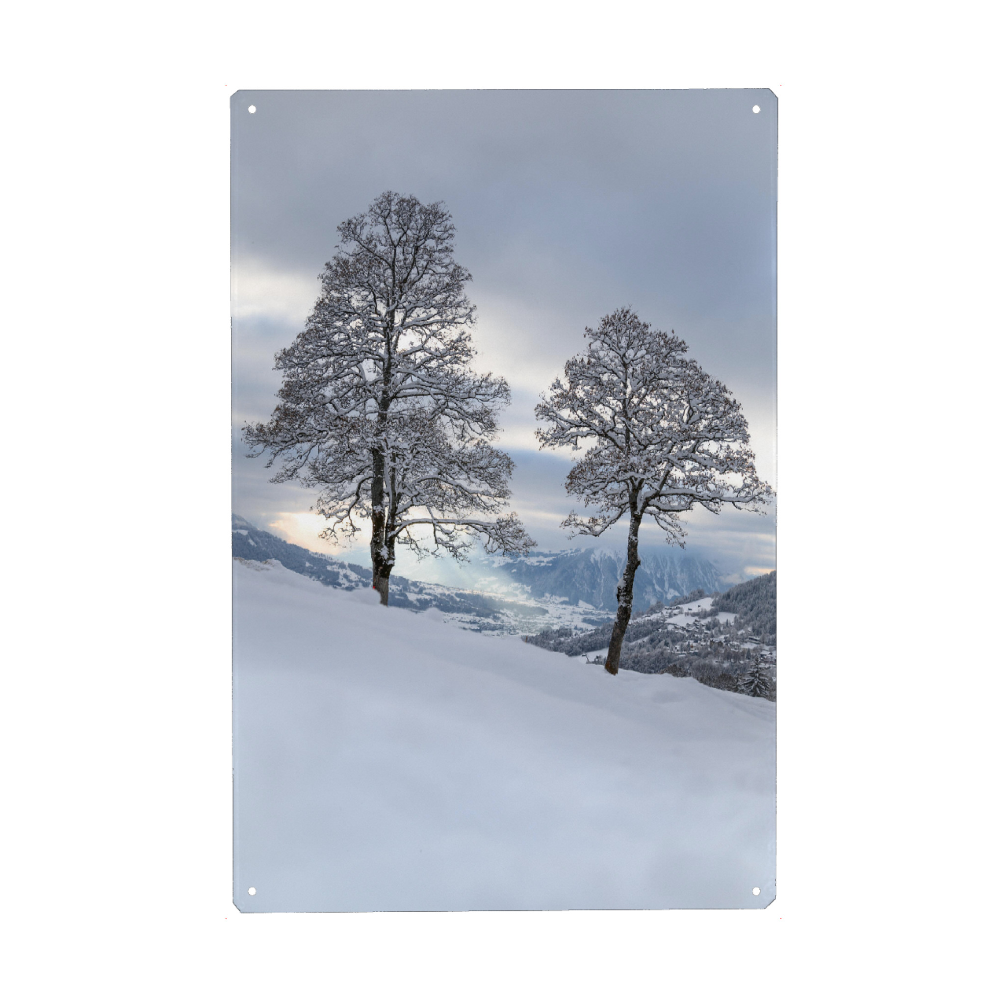Metall Poster "Rays of Winter Sun" artboxONE - Natur
