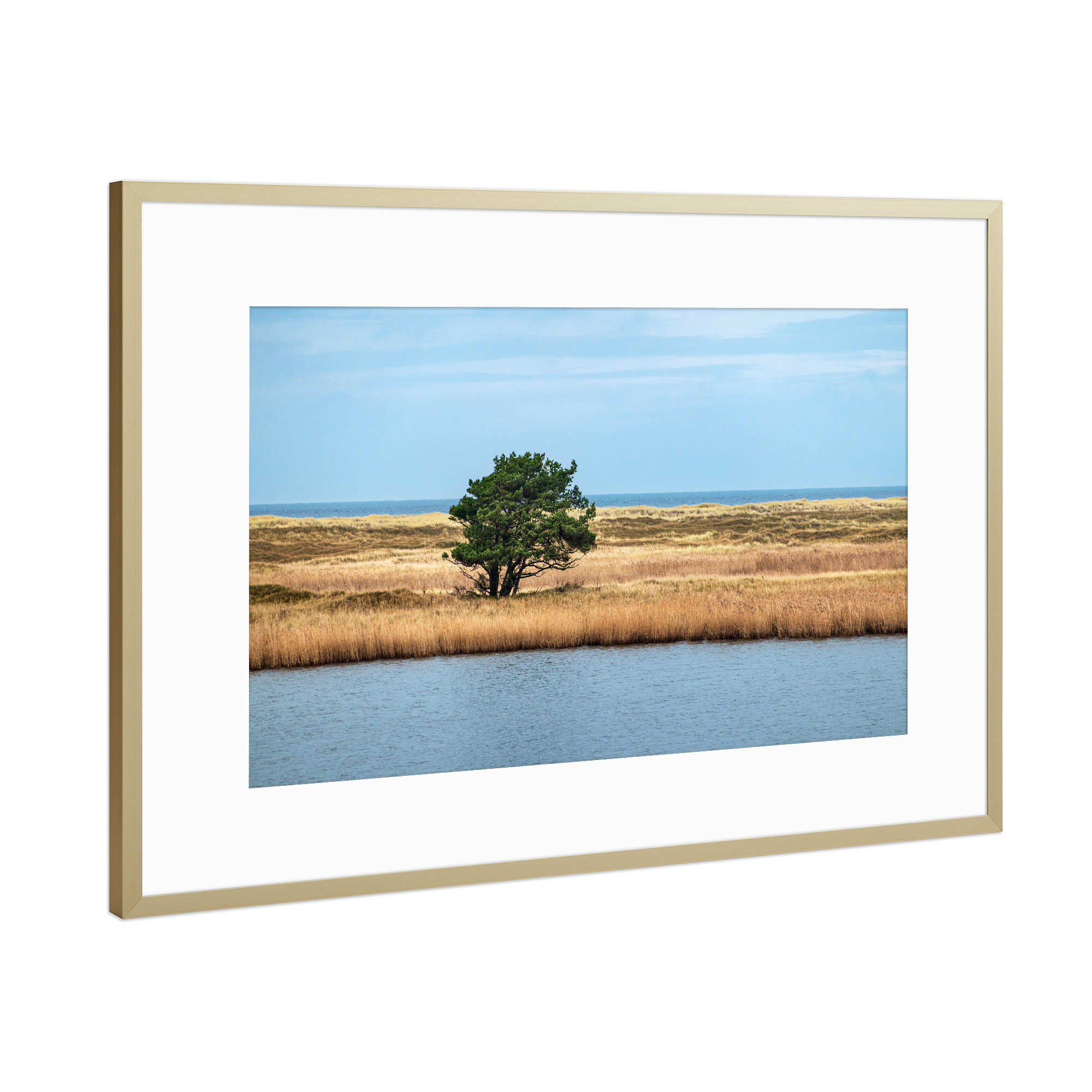 Poster mit Rahmen Gold "Baum im Schilf" artboxONE - Natur,Reise,Reise / Strand und Meer