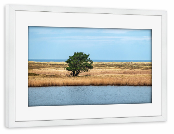 Poster mit Rahmen weiß "Baum im Schilf" artboxONE - Natur,Reise,Reise / Strand und Meer