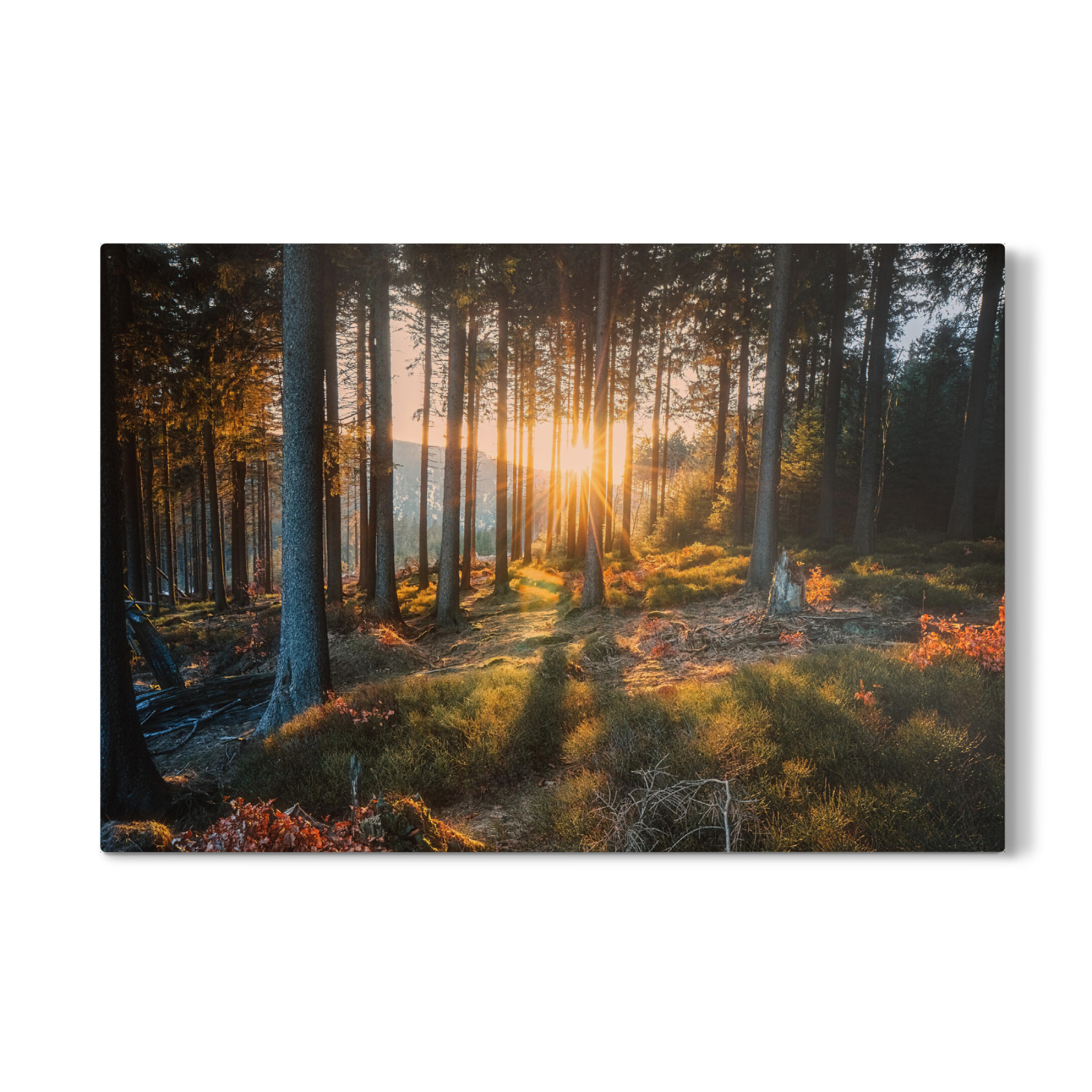 Galerie-Print "Harzstimmung" 75x50 cm artboxONE