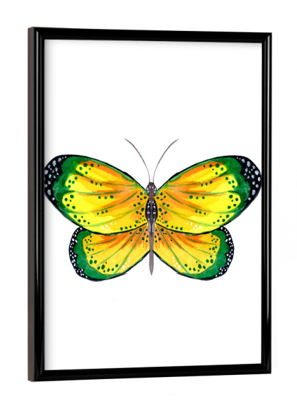 Poster mit schwarzem Rahmen "Green and Yellow Butterfly" artboxONE - Tiere