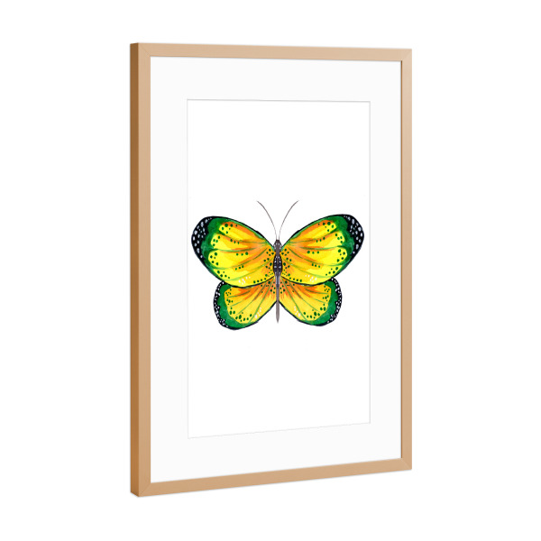 Poster mit Rahmen Kupfer "Green and Yellow Butterfly" artboxONE - Tiere