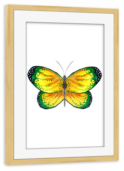 Poster mit Rahmen kiefer "Green and Yellow Butterfly" artboxONE - Tiere