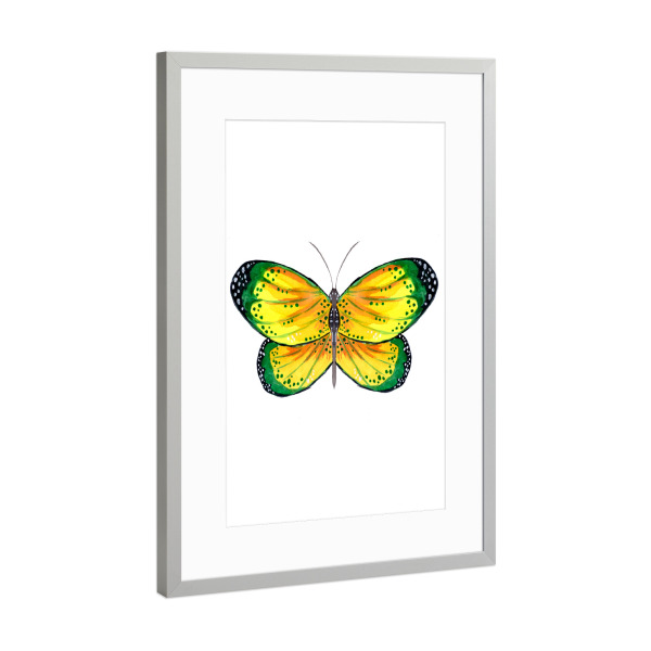 Poster mit Rahmen Silber "Green and Yellow Butterfly" artboxONE - Tiere