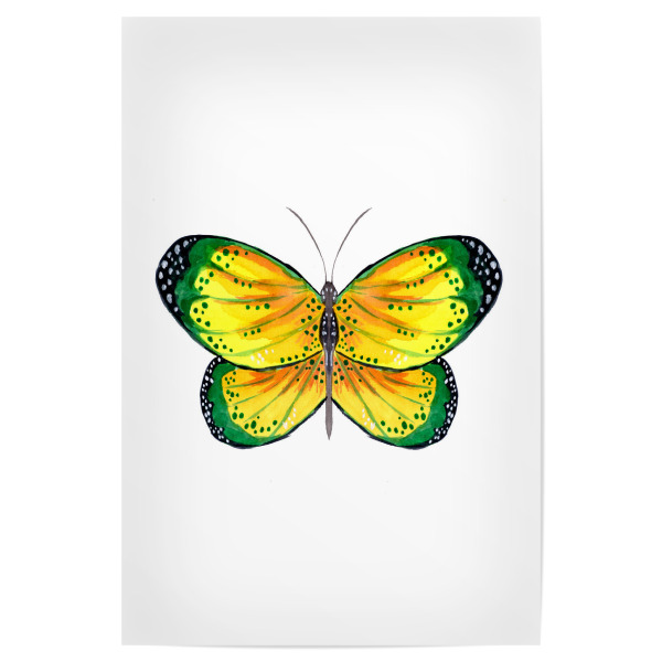 Poster 30x20 cm "Green and Yellow Butterfly" artboxONE - Tiere