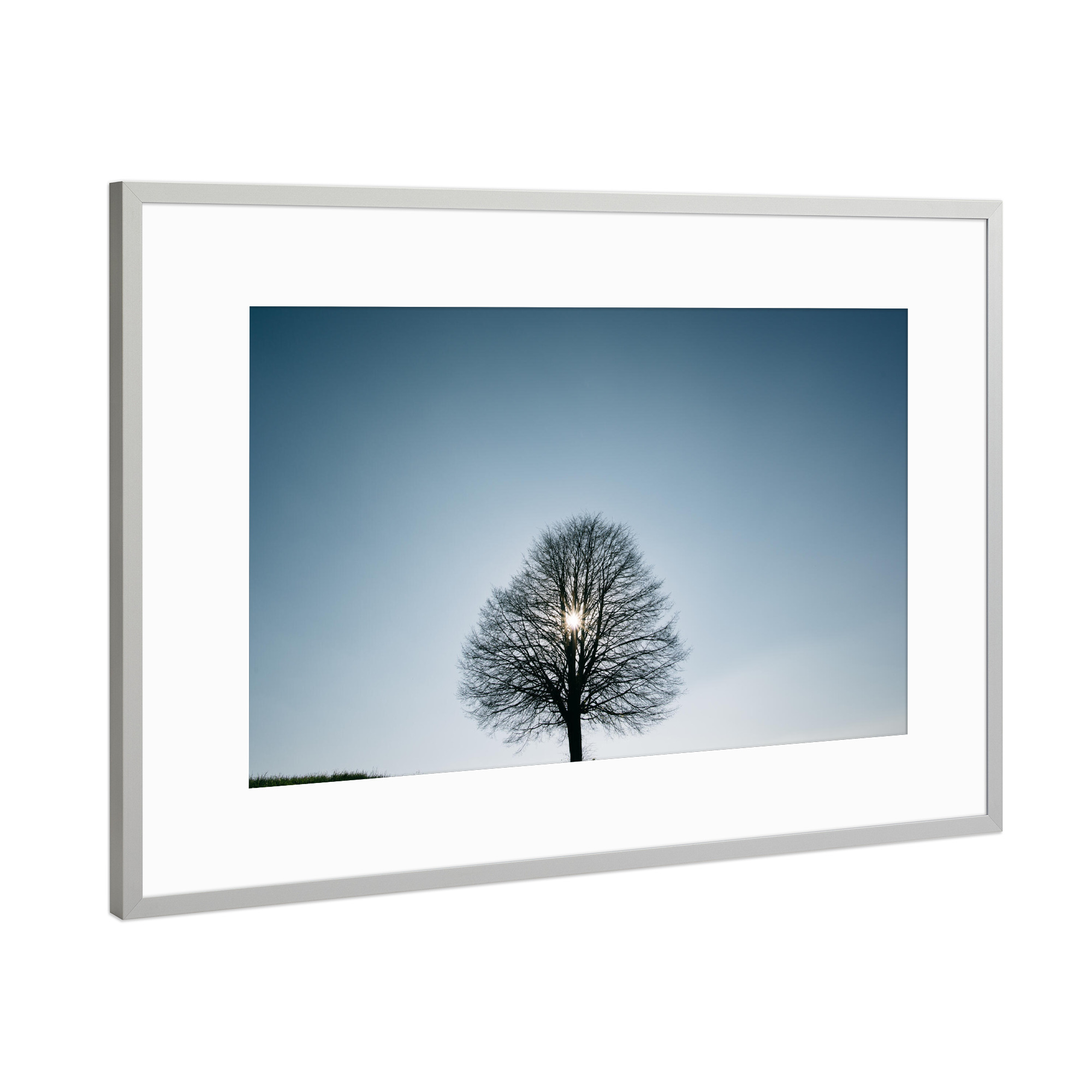Poster mit Rahmen Silber "Single backlit tree" artboxONE - Natur
