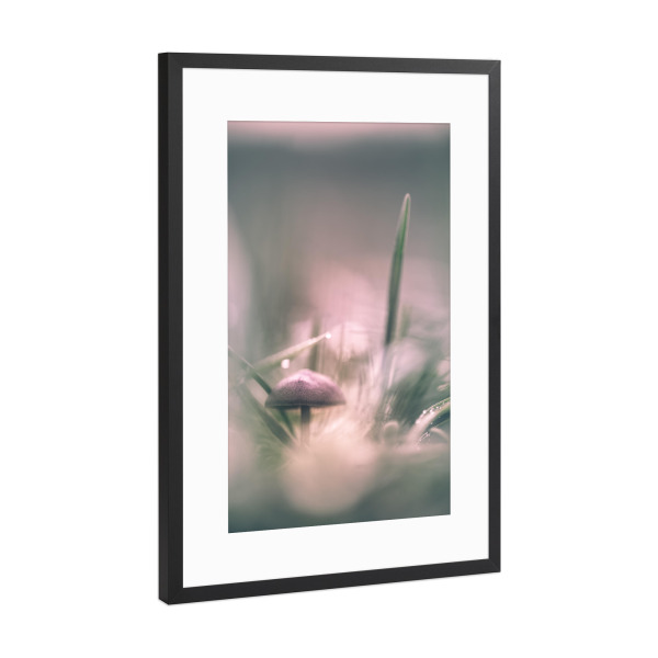 Poster mit Rahmen Schwarz (Metallic) "Kleiner Pilz" artboxONE - Natur - Pilz,Wiese,Grashalme,Makrofoto,Nahaufnahme,Bokeh,Pilzhut