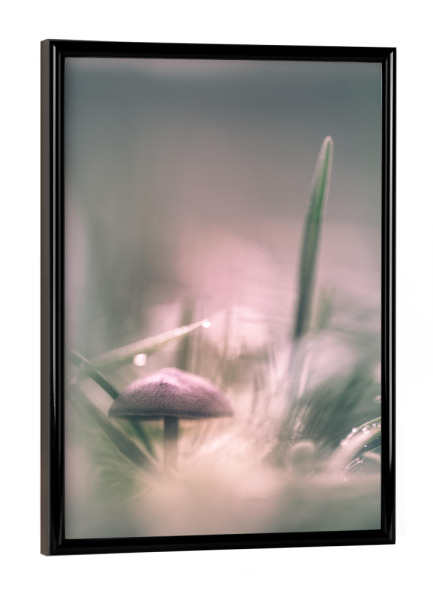 Poster mit schwarzem Rahmen "Kleiner Pilz" artboxONE - Natur - Pilz,Wiese,Grashalme,Makrofoto,Nahaufnahme,Bokeh,Pilzhut