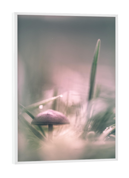 Poster mit weißem Rahmen "Kleiner Pilz" artboxONE - Natur - Pilz,Wiese,Grashalme,Makrofoto,Nahaufnahme,Bokeh,Pilzhut