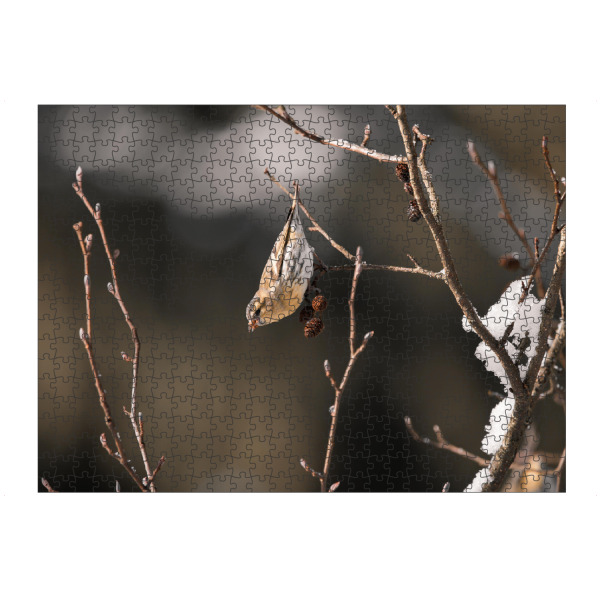 Puzzle Ravensburger "Winterbird" artboxONE - Natur,Tiere - Animal,Tiere,Bird,Wildlife,Winter,Tree,Baum,Schnee,Allgäu,Bayern,Wald,Ast,Vogel