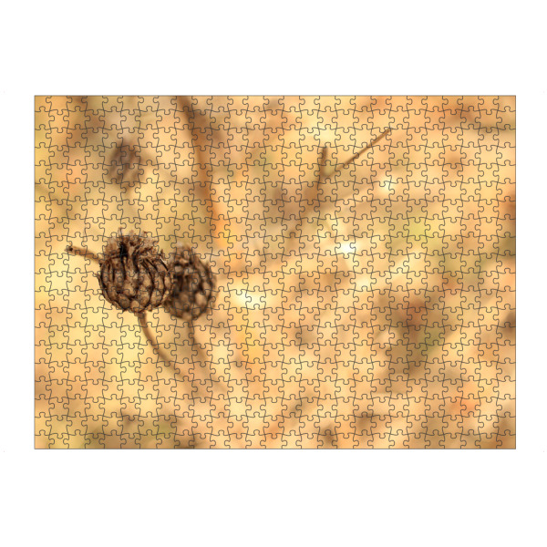 artboxONE Puzzle "Trockenblume" artboxONE - Natur - Natur,Naturliebe,Naturfotografie,Trockenblume,Erdtöne,Brauntöne,Beige,Braun,Wald - Bild natur
