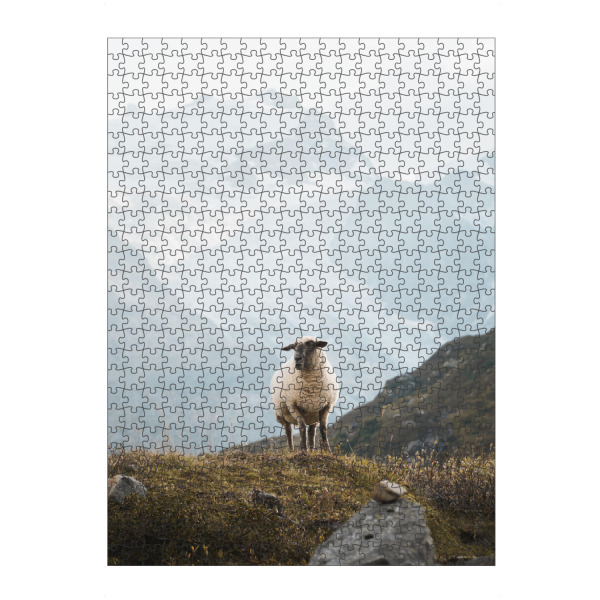 Puzzle Ravensburger "Sheep in the Swiss Alps" artboxONE - Natur,Reise,Tiere,Reise / Länder