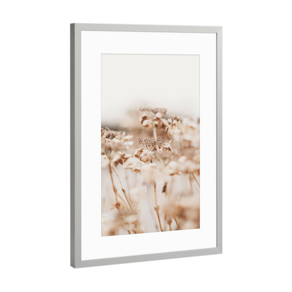 Poster mit Rahmen Silber "Beige Plant" artboxONE - Natur,Floral
