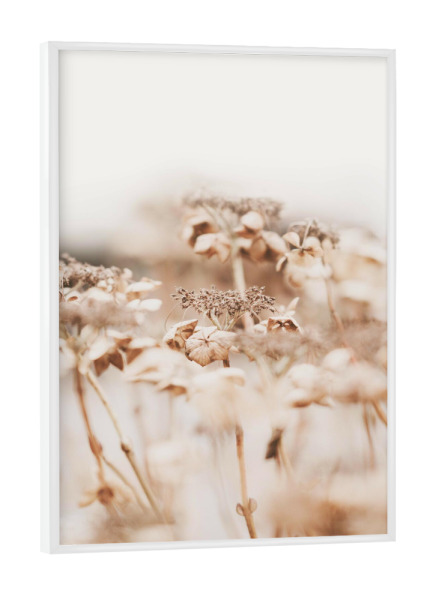 Poster mit weißem Rahmen "Beige Plant" artboxONE - Natur,Floral