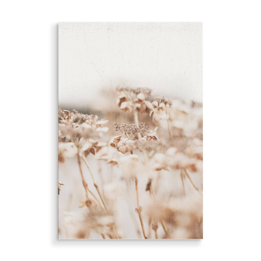 Beige Plant