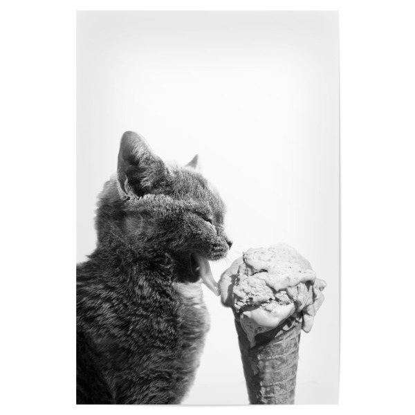Poster 30x20 cm "Cat Loves Ice Cream" artboxONE - Tiere,Essen & Trinken,Schwarzweiß,Lustig
