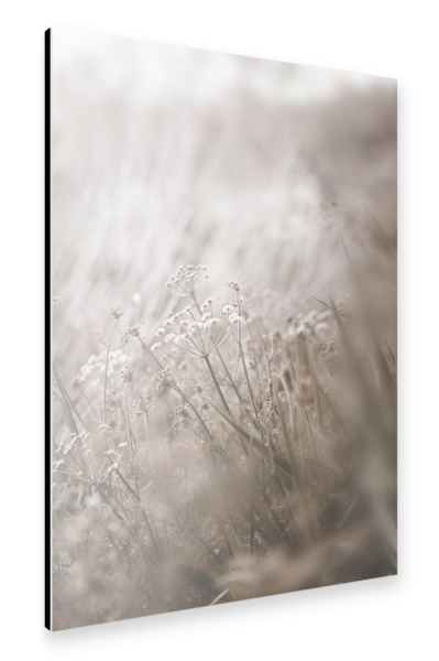 Alu-Dibond "Little Plant" 30x20 cm artboxONE