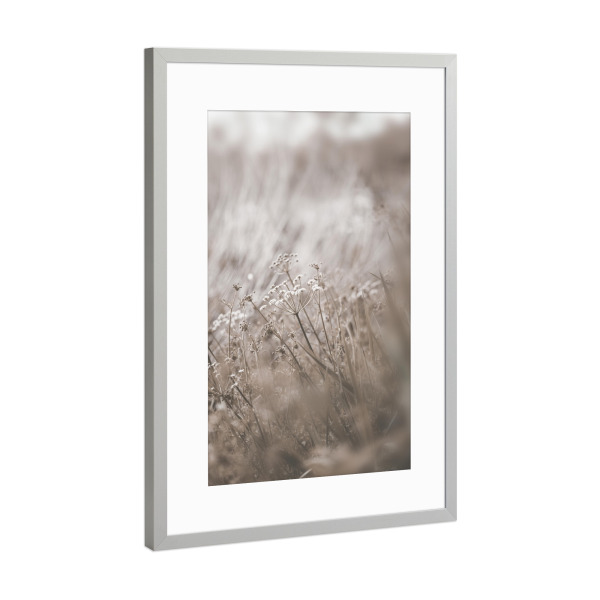 Poster mit Rahmen Silber "Little Plant" artboxONE - Natur,Floral - Small plant,Pflanze,Dry,Plant,Flora,Natur,Nature,Trocken,Minimal,Boho,Floral