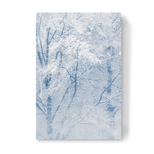 Leinwandbild "Schneebäume" artboxONE - Natur