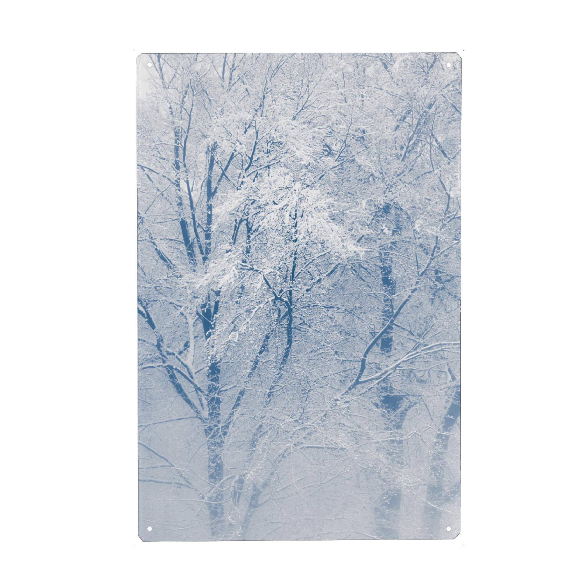 Metall Poster "Schneebäume" artboxONE - Natur