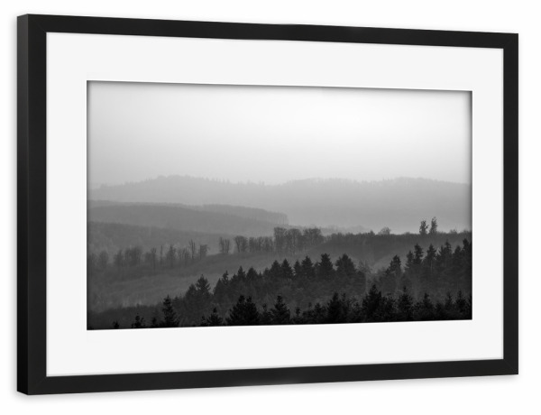 Poster mit Rahmen schwarz "Forest B&W" artboxONE - Natur,Schwarzweiß