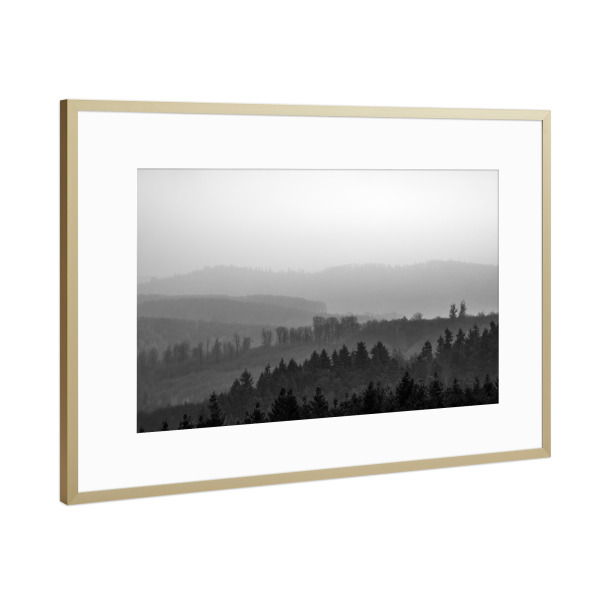 Poster mit Rahmen Gold "Forest B&W" artboxONE - Natur,Schwarzweiß