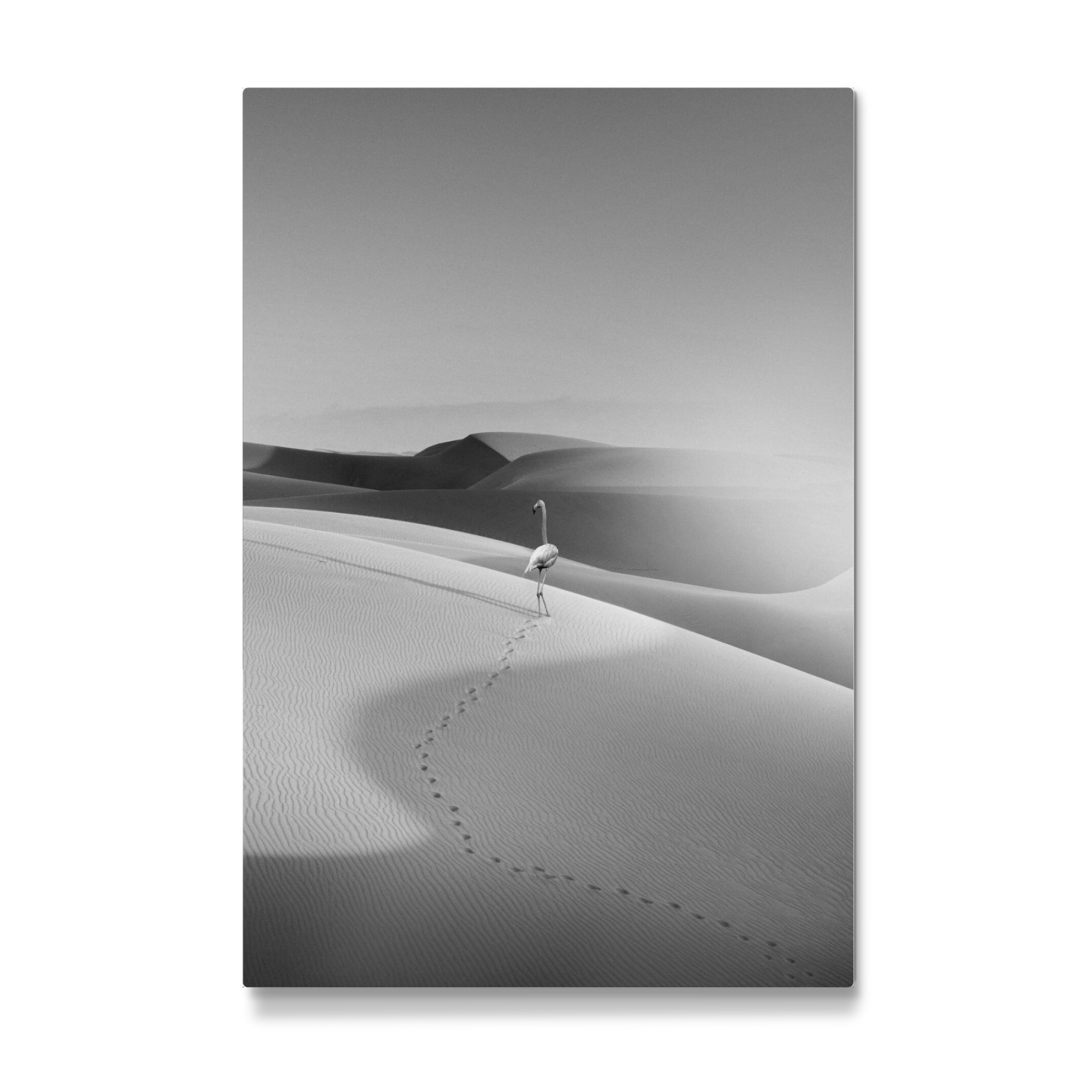 Galerie-Print "Flamingo in the Desert" 75x50 cm artboxONE