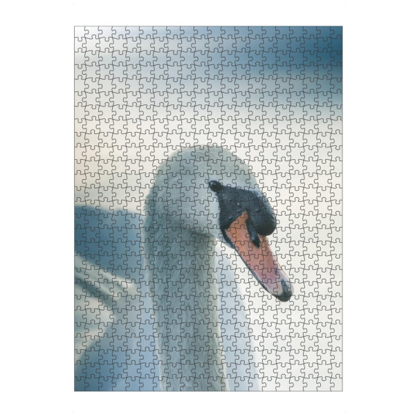 Puzzle Ravensburger "Mute Swan" artboxONE - Natur,Tiere - Schwan,Höckerschwan,Naturfoto,Weißer schwan,Bird,Vogel,Swan,Natur,Nature,Portrait