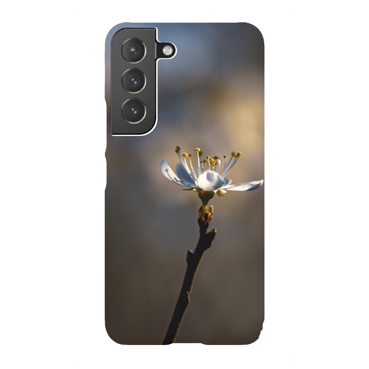 "Addicted To Sun"für Samsung Galaxy - Premium-Case Handyhülle artboxONE