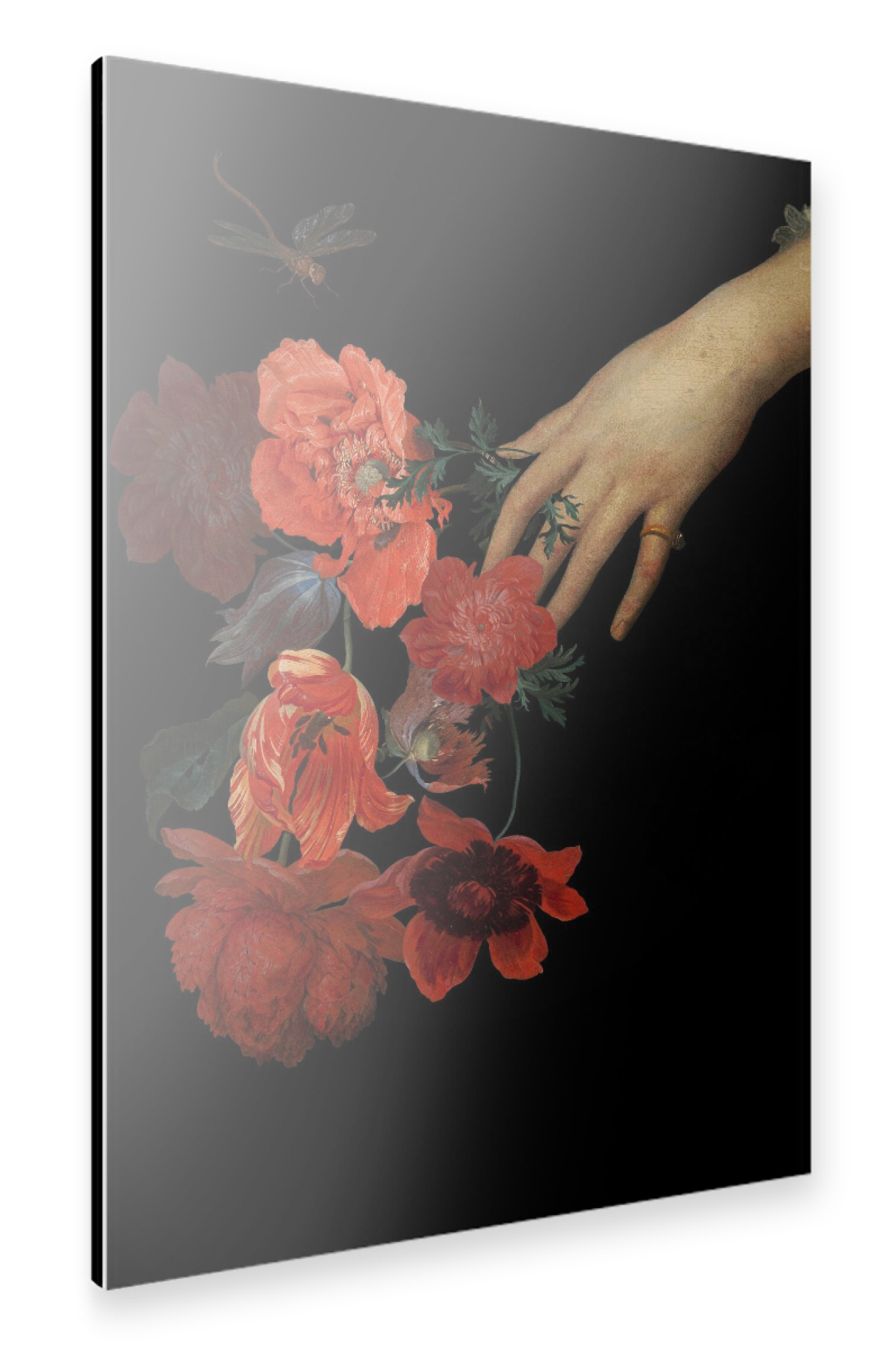 Alu-Dibond "Hand Holding Poppy Bouquet" 75x50 cm artboxONE