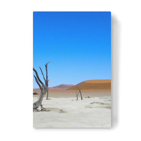 Leinwandbild "Deadvlei" artboxONE - Natur,Reise / Afrika