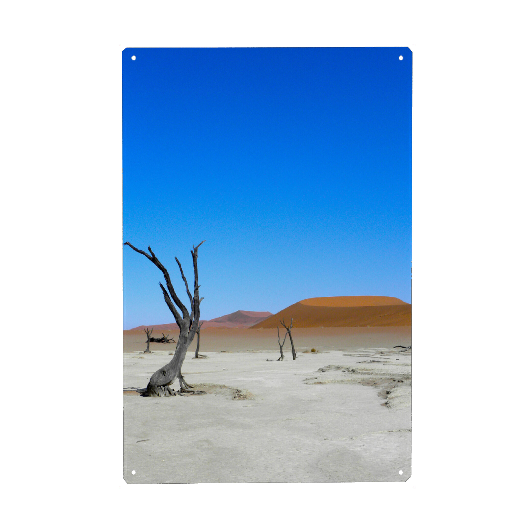 Metall Poster "Deadvlei" artboxONE - Natur,Reise / Afrika