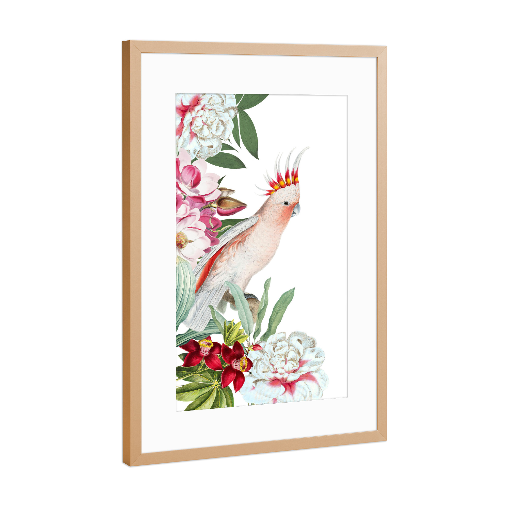 Poster mit Rahmen Kupfer "Flower Parrot I" artboxONE - Natur,Floral,Tiere