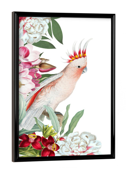 Poster mit schwarzem Rahmen "Flower Parrot I" artboxONE - Natur,Floral,Tiere