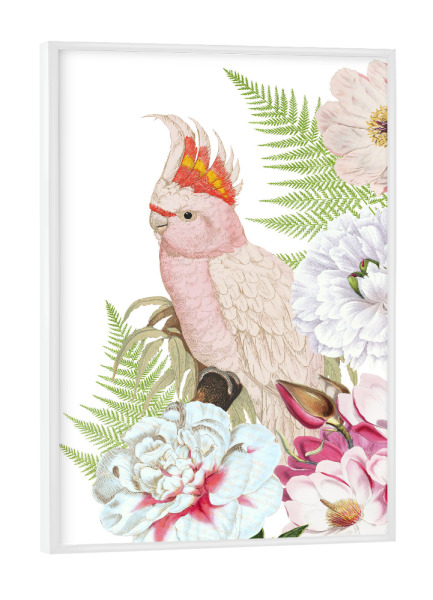 Poster mit weißem Rahmen "Flower Parrot" artboxONE - Natur,Floral,Tiere