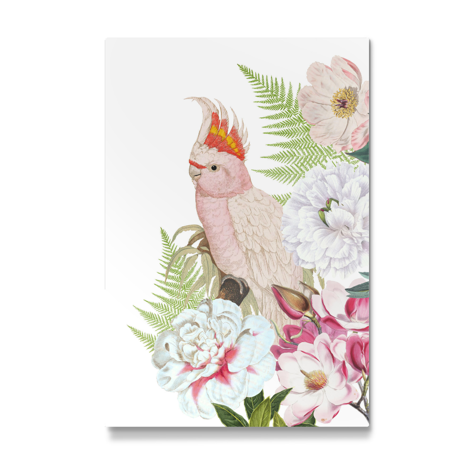 Galerie-Print "Flower Parrot" 75x50 cm artboxONE