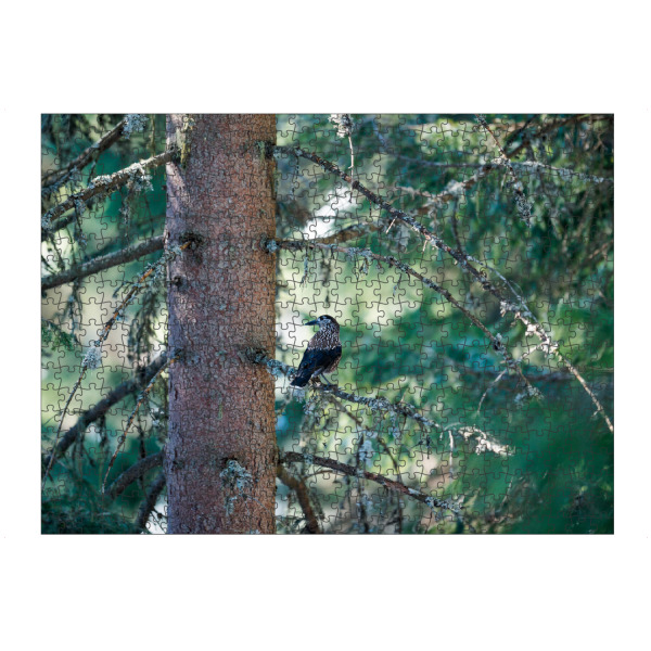 Puzzle Ravensburger "Spotted Nutcracker" artboxONE - Natur,Tiere