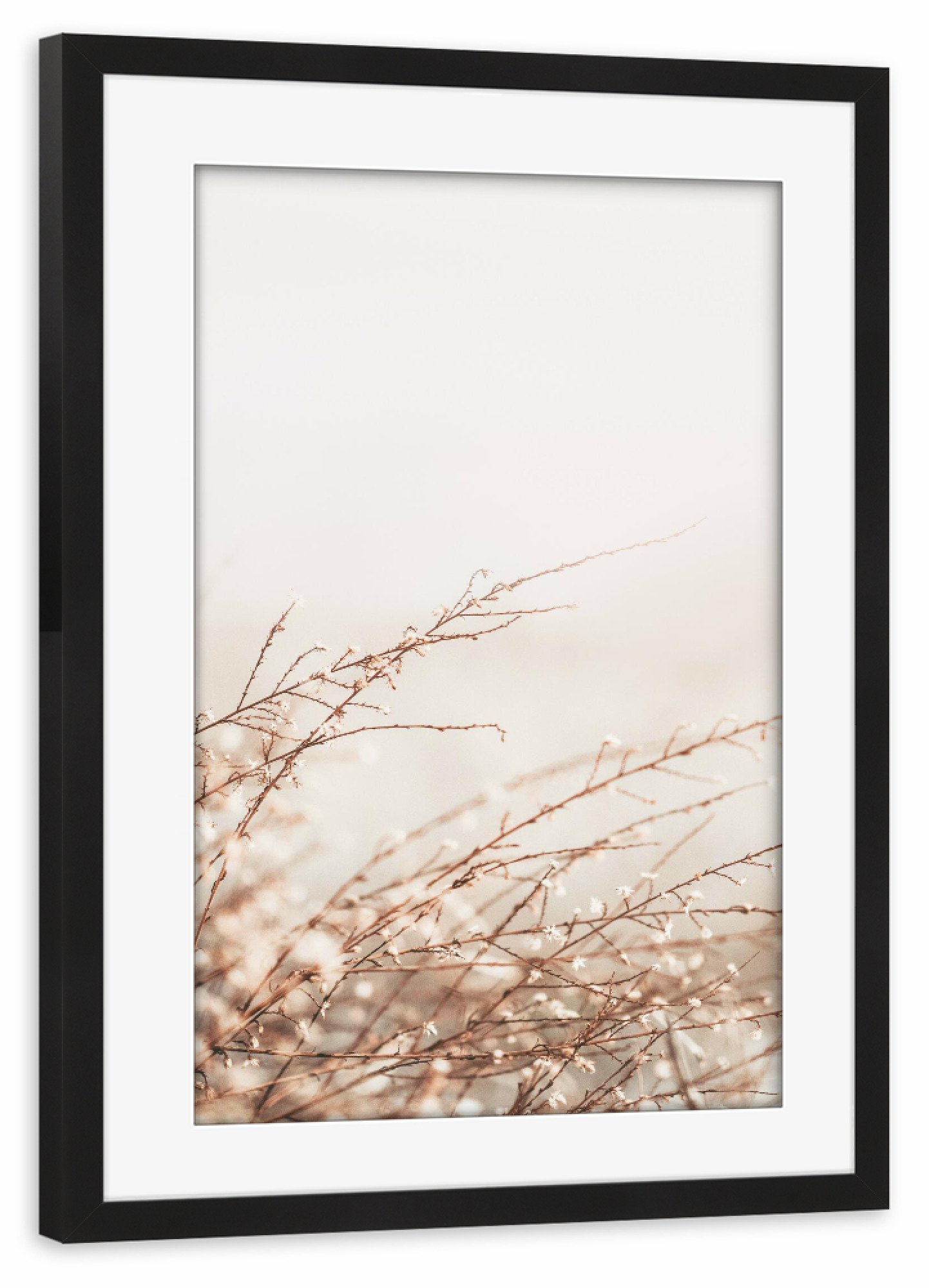 Poster mit Rahmen schwarz "Little Spring Plant" artboxONE - Natur,Floral