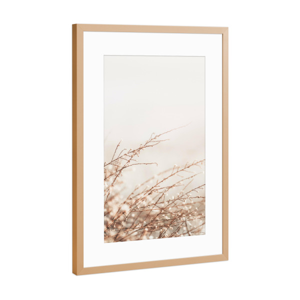 Poster mit Rahmen Kupfer "Little Spring Plant" artboxONE - Natur,Floral