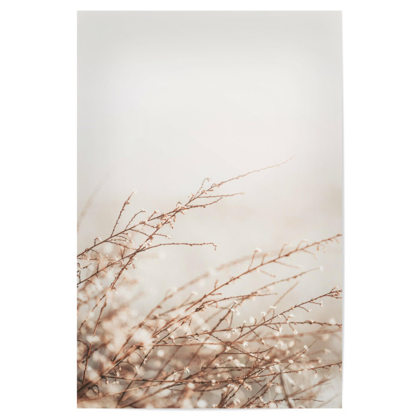 Poster "Little Spring Plant" artboxONE - Natur,Floral