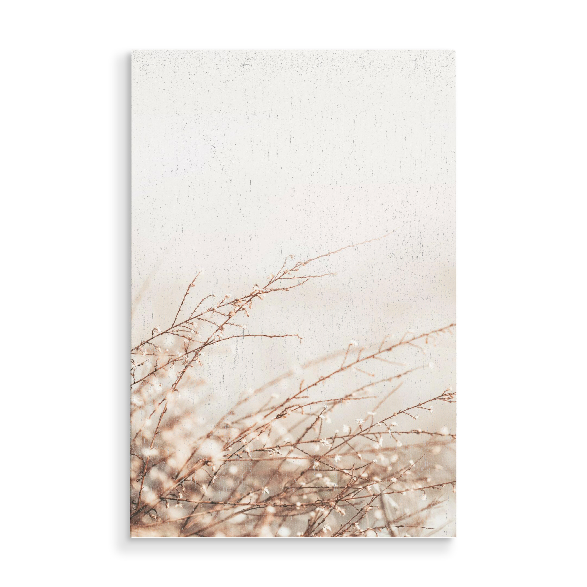 Holzbild "Little Spring Plant" artboxONE - Natur,Floral