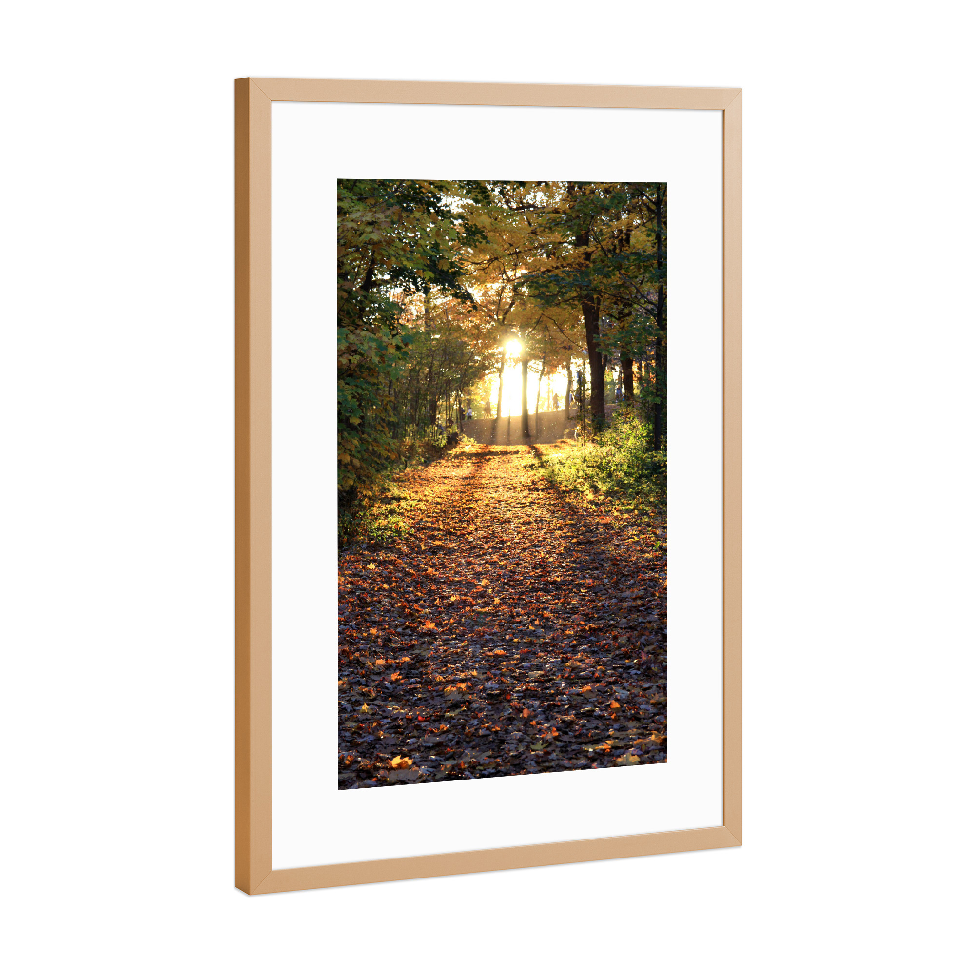 Poster mit Rahmen Kupfer "Durch den Wald" artboxONE - Natur,Reise - Nature,Forest,Wald,Sonne,Sun,Calm,Warm,Silent,Natur,Herbst,Autumn,Travel,Reise